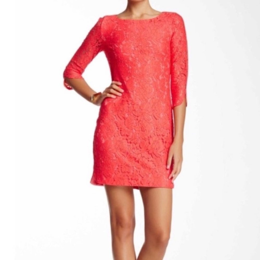 VINCE CAMUTO Coral Lace Casual Sheath Dress 8